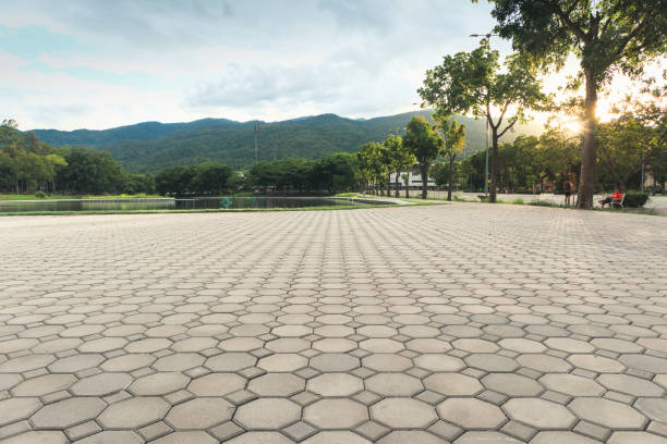 Best Best Driveway Pavers  in Ash Flat, AR